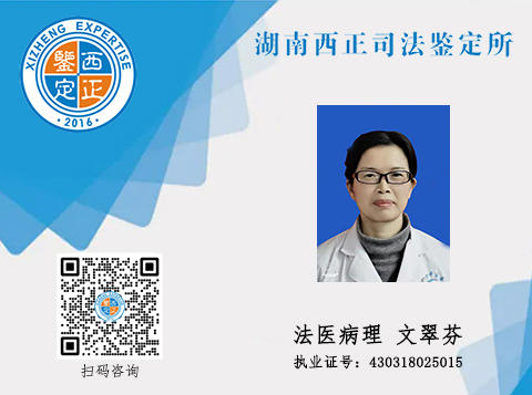 鉴定人官网展示 文翠芬 拷贝.jpg