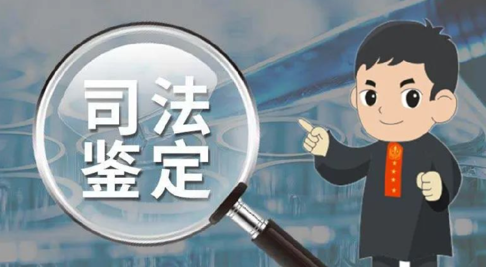 司法鉴定需要哪些材料？法官来为你解答