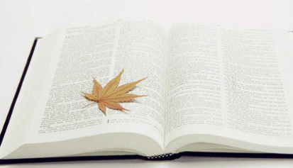 廊坊哪里做笔迹真伪鉴定比较专业？