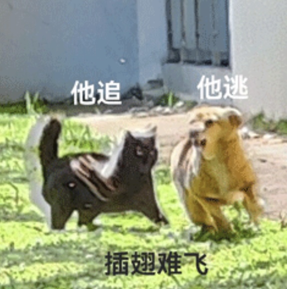 05068ba88caf7c37dc2702a24b241e5.jpg