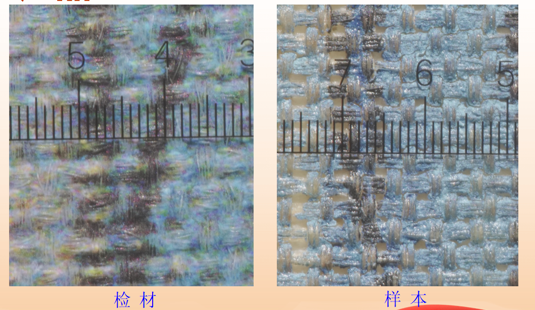 WPS图片(5).png